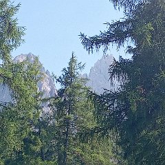 Val Campo di Dentro 02 luglio